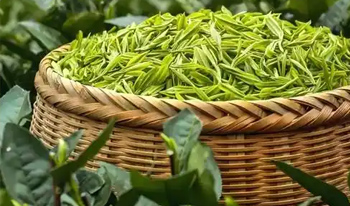 茶叶产品十大品牌一览表