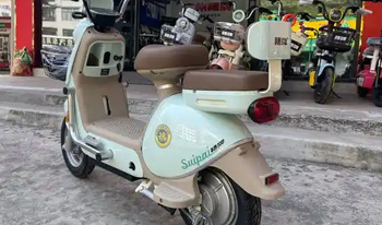电动车产品十强企业