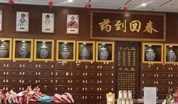 中医馆产品前十名