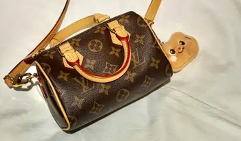 十大女士奢侈品榜单