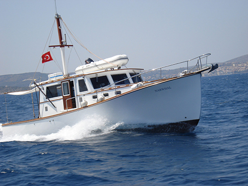 土耳其Agantur客船 NARWHAL
