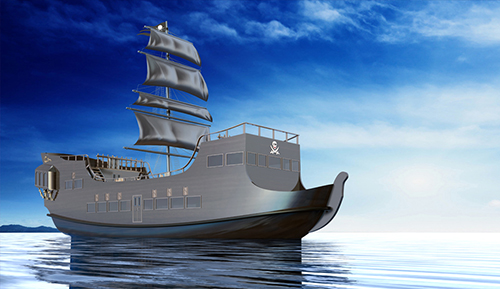 湖南Sunbird游艇 28米游览船（海盗船）-G2的技术与支持